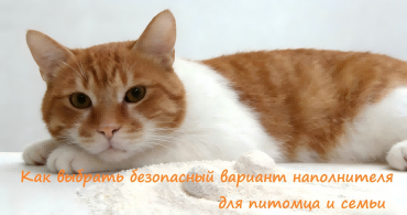 Как выбрать безопасный вариант наполнителя для питомца и семьи