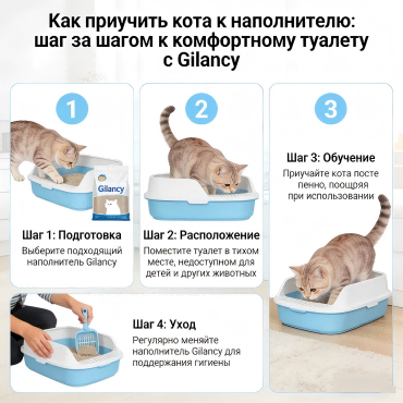 Как приучить кота к наполнителю: пошаговая инструкция | Gilancy Как приучить кота к наполнителю: пошаговая инструкция | Gilancy