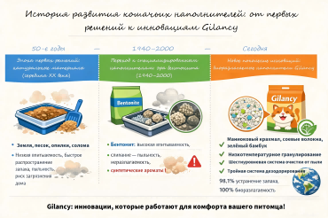 История развития кошачьих наполнителей: от первых решений до инноваций Gilancy